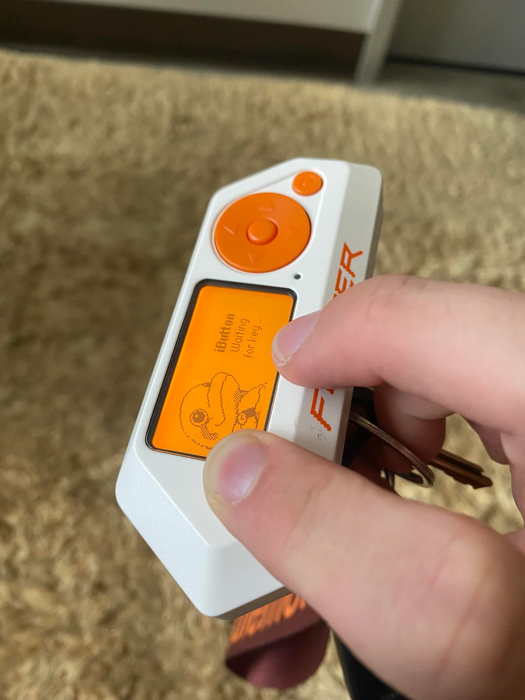 Flipper Zero iButton